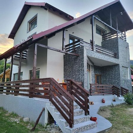 Pensiunea Ricky Căpăţîneni-Ungureni Zewnętrze zdjęcie